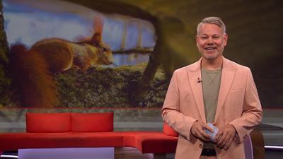 Frankenschau aktuell