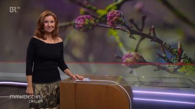 Frankenschau aktuell