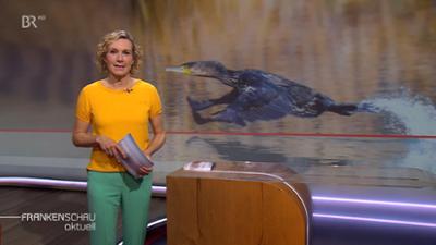 Frankenschau aktuell