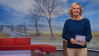 Frankenschau aktuell