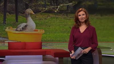 Frankenschau aktuell