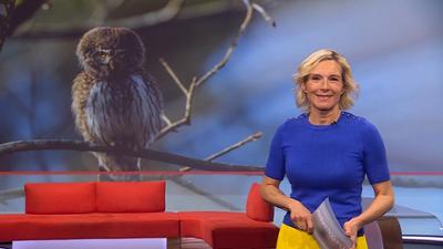 Frankenschau aktuell