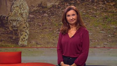 Frankenschau aktuell