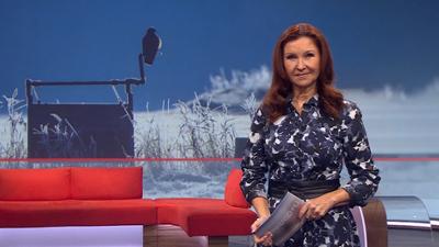 Frankenschau aktuell