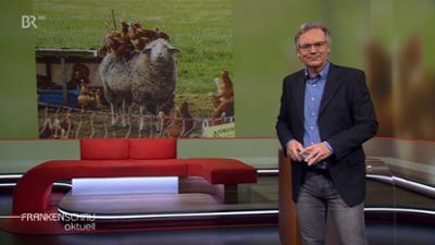 Frankenschau aktuell