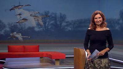 Frankenschau aktuell