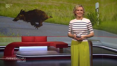 Frankenschau aktuell