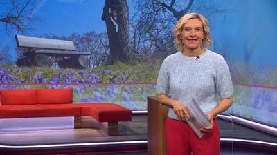 Frankenschau aktuell