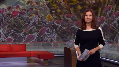 Frankenschau aktuell