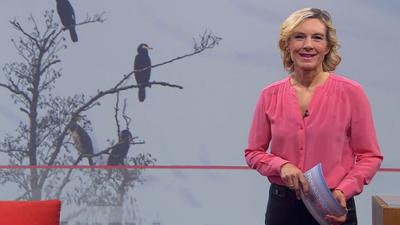 Frankenschau aktuell