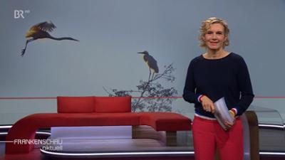 Frankenschau aktuell