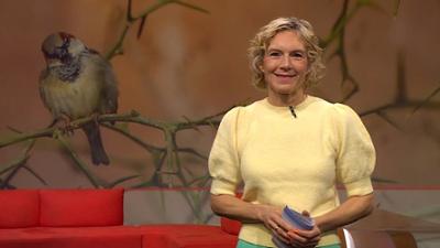 Frankenschau aktuell: Neue Wege in der Landwirtschaft Neue Ampelschaltung in Coburg Ausstellung übers Fluchen in Nürnb