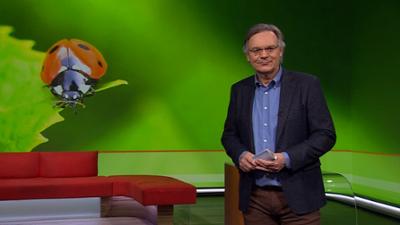 Frankenschau aktuell