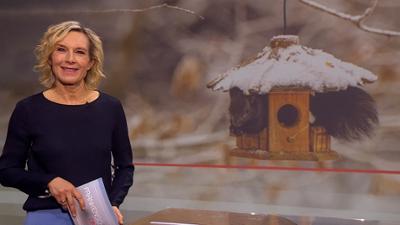 Frankenschau aktuell