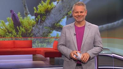 Frankenschau aktuell