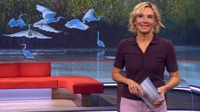 Frankenschau aktuell