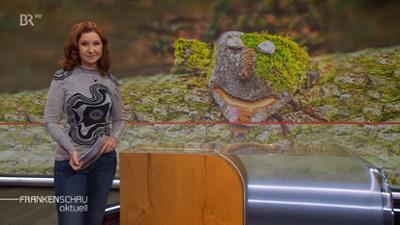 Frankenschau aktuell