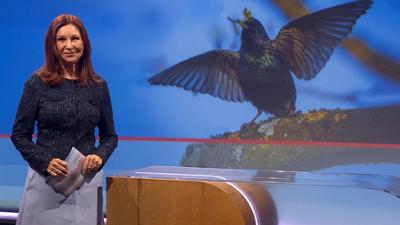 Frankenschau aktuell