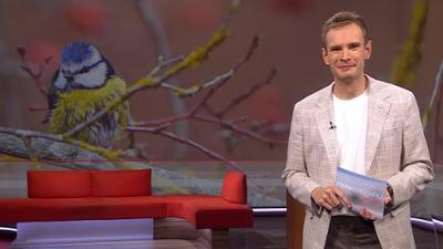 Frankenschau aktuell