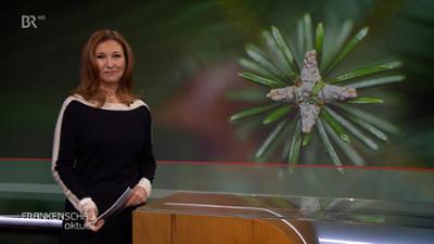 Frankenschau aktuell