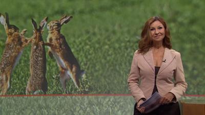 Frankenschau aktuell: Streik bei MIWE in Arnstein Jugendsymphonieorchester wird 40 Wie Nürnberg seine Quartiere belieb