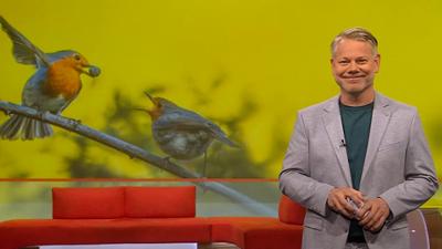 Frankenschau aktuell