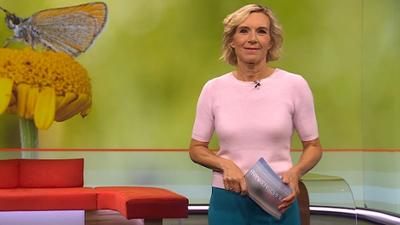 Frankenschau aktuell