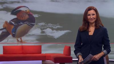 Frankenschau aktuell