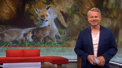 Frankenschau aktuell