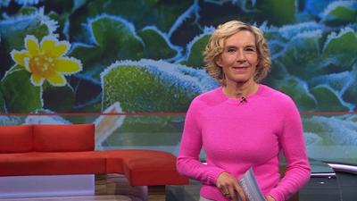 Frankenschau aktuell