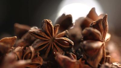 Gesundheit!: Gewürze, KI-Gehirn-Chip, Handekzem, Weihnachtskonzert