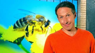 Gut zu wissen: Genbank für Bienen | Coronazahlen in Bayern | Eschensterben