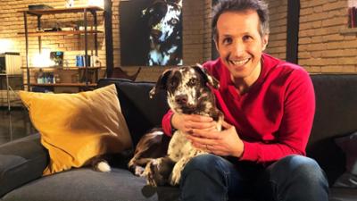 Gut zu wissen: Klügster Hund