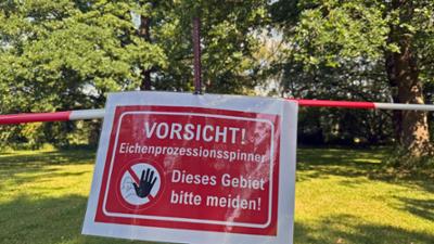 Kontrovers: Eichenspinner-Plage, Bürgerentscheid Frankenschnellweg und mehr