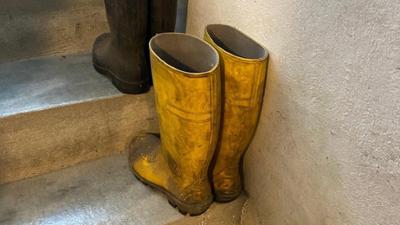 Kontrovers: Behörden-Chaos, Dorfpolizei und mehr