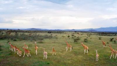Länder - Menschen - Abenteuer: Abenteuer Kenia