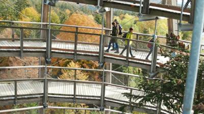 Ländermagazin: Nationalpark Bayerischer Wald