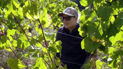 Landfrauenküche: Ilonka Scheuring · Unterfranken (S05/E03) Landfrauenküche: Ilonka Scheuring · Unterfranken (S05/E03)