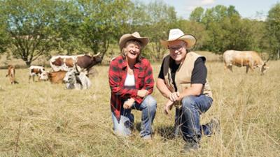 Lust aufs Land - Bayerische Hofgeschichten: Texas Longhorn Ranch und Straußenfarm