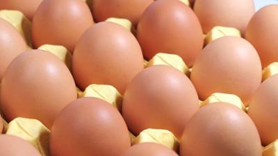 mehr/wert: Eiermangel, Preisschock, Vorsicht bei Verkauf