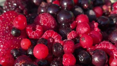 mehr/wert: Pauschalreise, Lachs, Tiefkühlbeeren, Vegane Bratwurst