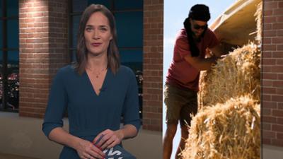 mehr/wert: Baukosten, Heizungen, Dämmstoffe mehr/wert: Baukosten, Heizungen, Dämmstoffe