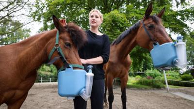 nah und fern: 16.07.25: Island zu Pferd
