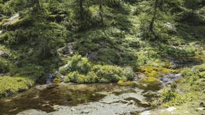 nah und fern: 20.08.25: Rauris nah und fern: 20.08.25: Rauris