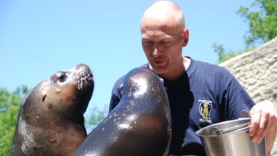 Nashorn, Zebra & Co: Ein Besuch im Seelöwen-Kindergarten (F. 206)
