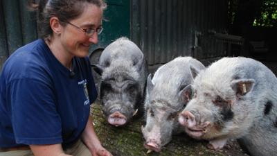 Nashorn, Zebra & Co: Urige Typen (F. 211)