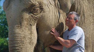 Nashorn, Zebra & Co: Sprachbegabte Elefanten (F. 262)