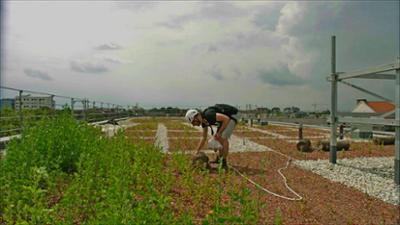 natur exclusiv: WG mit Wildtier · Neues Bauen in der Stadt