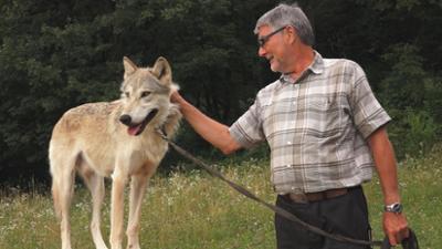 natur exclusiv: Kurt und seine Wölfe