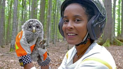 Pia und die wilden Tiere: Der Habichtskauz ist wieder da Pia und die wilden Tiere: Der Habichtskauz ist wieder da